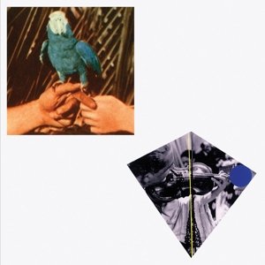 Cover for Andrew Bird · Are You Serious (CD) [Deluxe edition] [Digipak] (2016)
