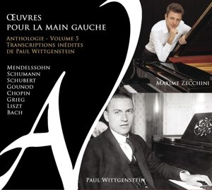 Cover for Maxime Zecchini · Oeuvres Pour La Main Gauche Vol.5 (CD) (2015)