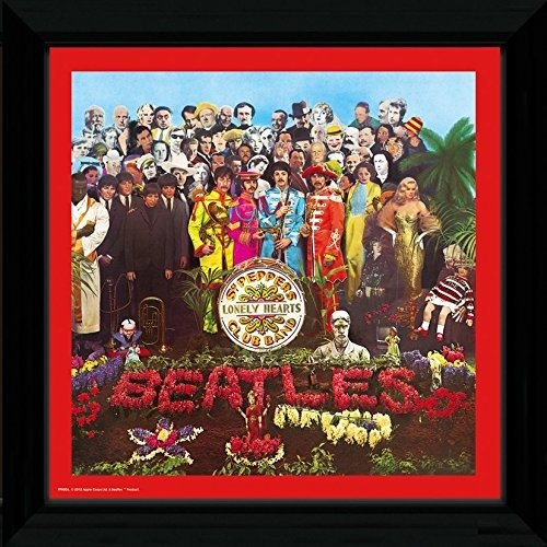 Beatles (The): Sgt Pepper (Stampa In Cornice 30x30 Cm) (MERCH)