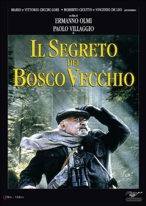 Cover for Segreto Del Bosco Vecchio (Il) (DVD) (2016)
