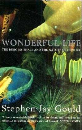 Wonderful Life - Stephen Jay Gould - Livros - Vintage Publishing - 9780099273455 - 3 de agosto de 2000