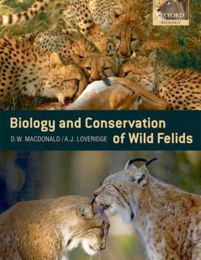 Cover for David Macdonald · The Biology and Conservation of Wild Felids (Paperback Book) (2010)