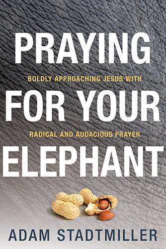 Cover for Adam Stadtmiller · Praying for Your Elephant: Boldly Approaching Jesus with Radical and Audacious Prayer (Paperback Book) (2014)
