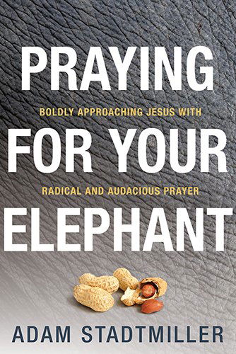 Praying for Your Elephant: Boldly Approaching Jesus with Radical and Audacious Prayer - Adam Stadtmiller - Books - David C. Cook - 9780781411455 - October 1, 2014