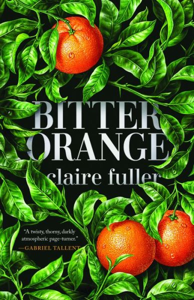 Cover for Claire Fuller · Bitter Orange (Hardcover Book) (2019)