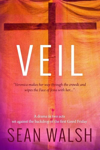 Cover for Sean Walsh · Veil (Taschenbuch) (2014)