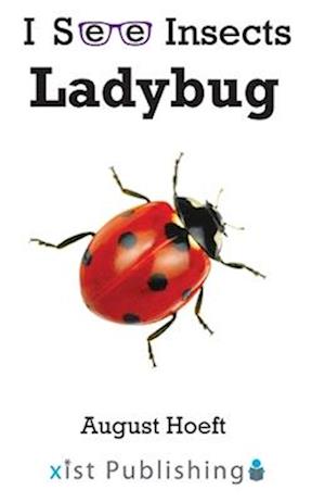 Cover for August Hoeft · Ladybug (Book) (2022)