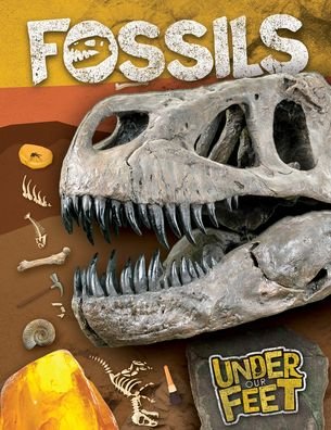 Cover for Kirsty Holmes · Fossils (Paperback Book) (2021)
