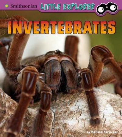 Cover for Melissa Ferguson · Invertebrates A 4D Book (Book) (2018)