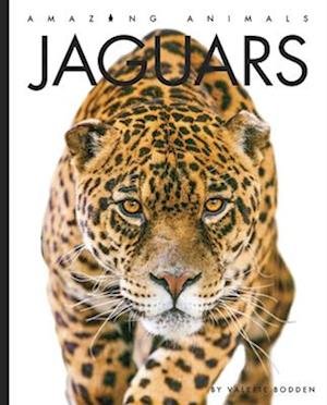 Cover for Valerie Bodden · Jaguars (Bok) (2022)