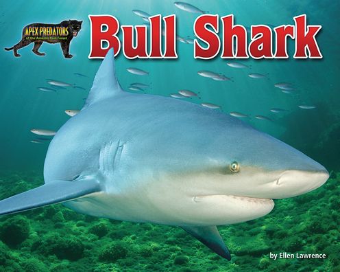 Cover for Ellen Lawrence · Bull Shark (Book) (2020)