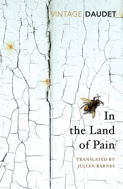 Cover for Alphonse Daudet · In the Land of Pain (Paperback Bog) (2018)