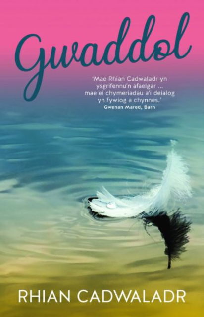 Cover for Rhian Cadwaladr · Gwaddol (Pocketbok) (2024)