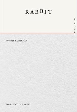 Rabbit - Sophie Robinson - Books - UEA Publishing Project - 9781911343455 - November 5, 2018