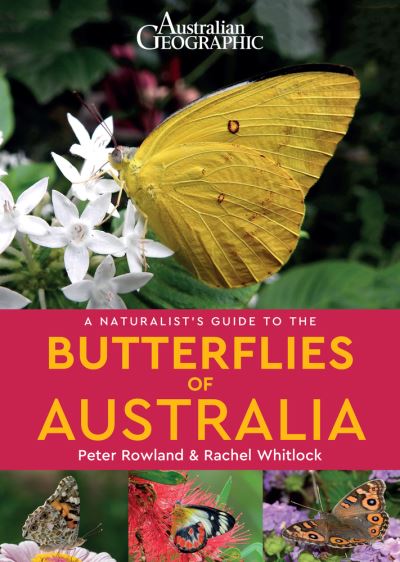 Cover for Peter Rowland · A Naturalist's Guide to the Butterflies of Australia - Naturalist's Guide (Paperback Book) (2020)