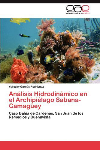 Cover for Yuliesky Garcés Rodríguez · Análisis Hidrodinámico en El Archipiélago Sabana-camagüey: Caso Bahía De Cárdenas, San Juan De Los Remedios Y Buenavista (Taschenbuch) [Spanish edition] (2012)