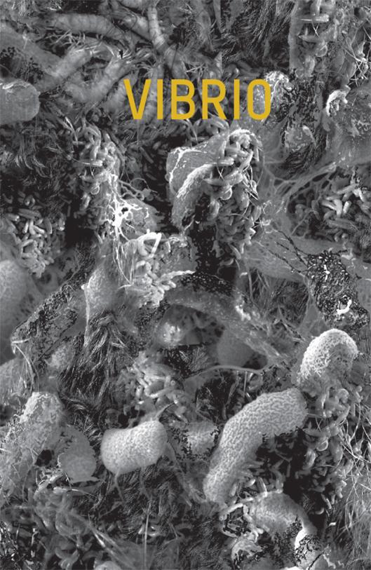 Cover for Glenn Christian · Vibrio (Sewn Spine Book) [1st edition] (2016)