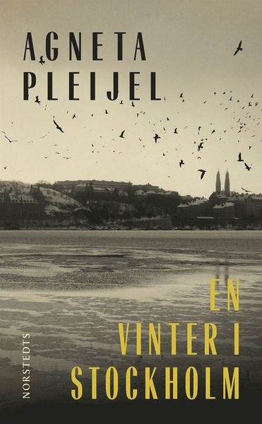 Cover for Agneta Pleijel · En vinter i Stockholm (Paperback Book) (2017)