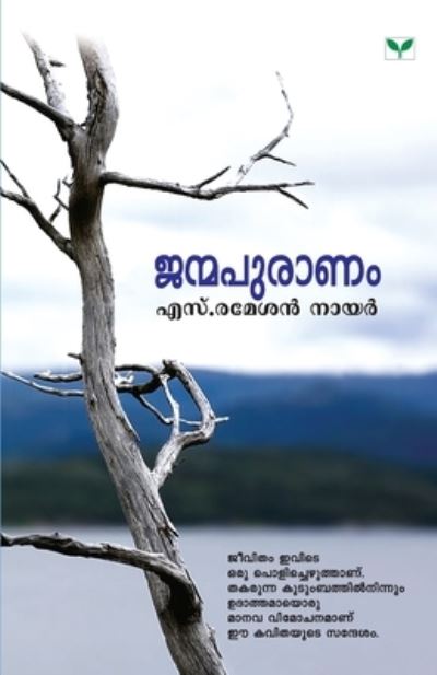 Cover for Ramesan S Nair · Janmapuranam (Paperback Book) (2011)