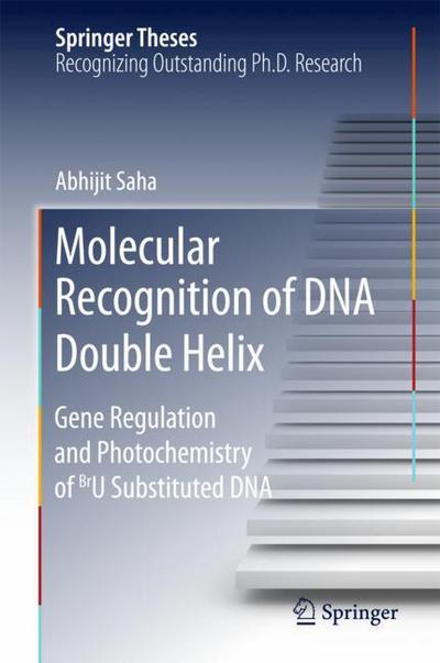 Cover for Saha · Molecular Recognition of DNA Double Helix (Book) [1st ed. 2018 edition] (2018)