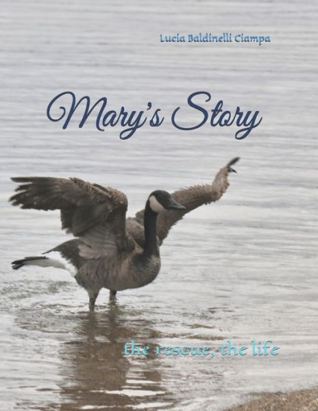 Cover for Lucia Baldinelli Ciampa · Mary's Story (Paperback Bog) (2021)