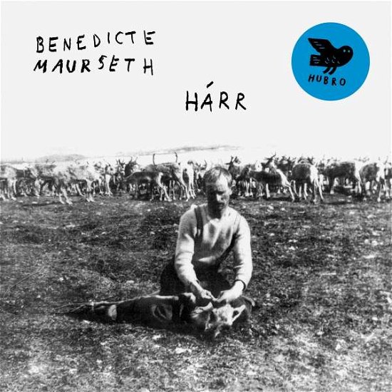 Cover for Benedicte Maurseth · Harr (LP) (2022)