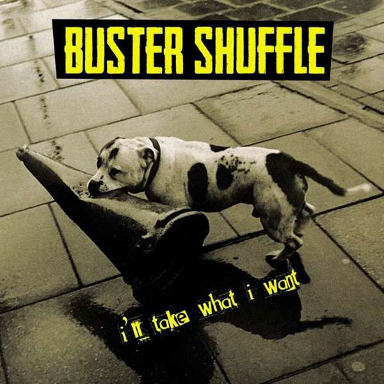 Cover for Buster Shuffle · I'll Take What I Want (CD) (2017)