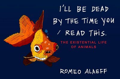 Cover for Romeo Alaeff · I'll Be Dead by the Time You Read This: the Existential Life of Animals (Paperback Book) (2011)