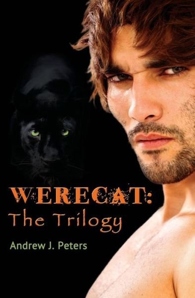 Werecat: the Trilogy - Andrew J. Peters - Bøger - Vagabondage Romance - 9780692330456 - 14. november 2014
