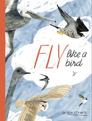 Cover for Olga Ptashnik · Fly Like a Bird - Spectacular Steam for Curious Readers (Hardcover Book) (2025)