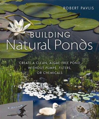 Cover for Robert Pavlis · Building Natural Ponds: Create a Clean, Algae-free Pond without Pumps, Filters, or Chemicals (Pocketbok) (2017)