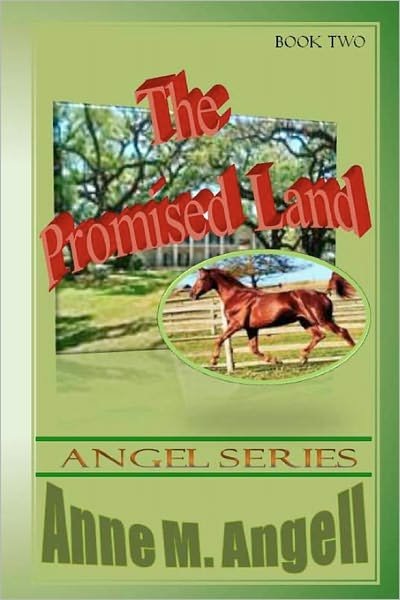 Cover for Anne M. Angell · The Promised Land (Paperback Book) (2011)