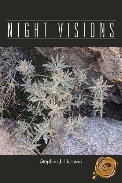 Cover for Stephen J. Herman · Night Visions (Paperback Book) (2012)