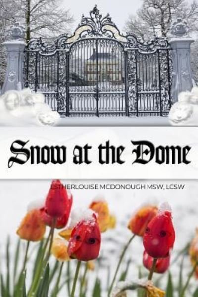Cover for Lcsw Estherlouise McDonough Msw · Snow at the Dome (Pocketbok) (2019)