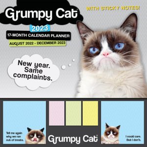 Cover for Grumpy Cat Limitied · Grumpy Cat Its All Downhill from Here - Sticky Note Planner (Pocketbok) (2022)