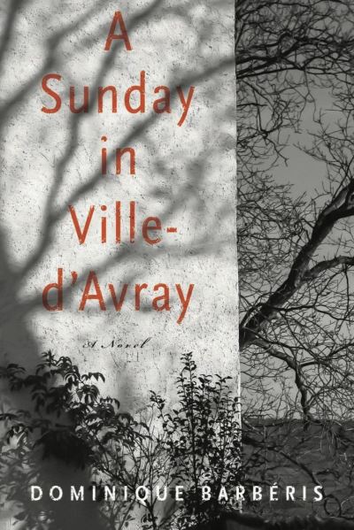 Cover for Dominique Barberis · A Sunday In Ville-d'avray: A Novel (Hardcover Book) (2021)