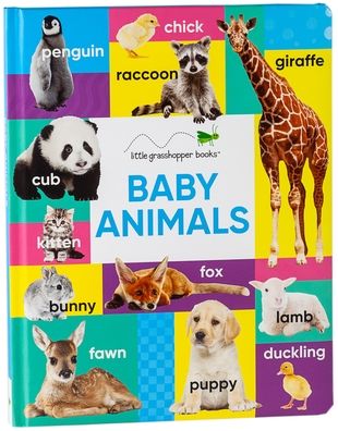 Baby Animals (Large Padded Board Book & Downloadable App!) - Little Grasshopper Books - Böcker - Little Grasshopper Books - 9781640309456 - 15 september 2019