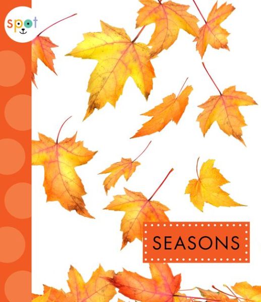 Seasons - K. C. Kelley - Książki - Amicus - 9781681522456 - 6 lutego 2018