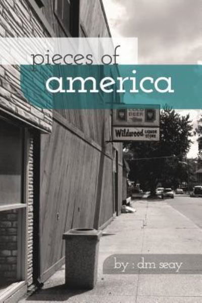 Cover for DM Seay · Pieces of America (Taschenbuch) (2017)