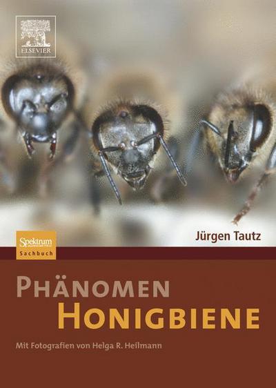 Phanomen Honigbiene - Jurgen Tautz - Bücher - Spektrum Akademischer Verlag - 9783827418456 - 15. März 2007