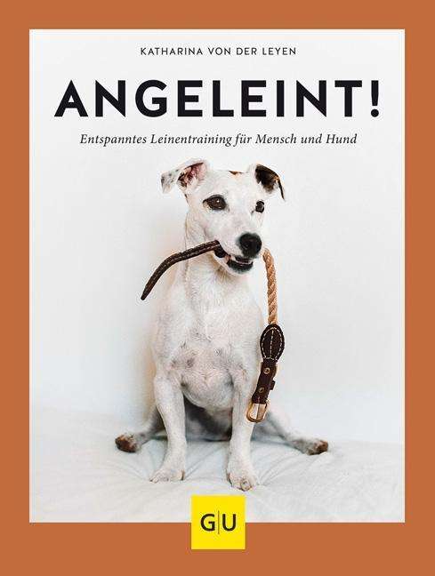 Cover for Leyen · Angeleint! (Bog)