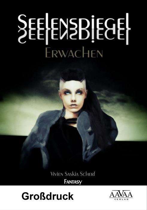 Cover for Scherf · Seelenspiegel,Großdr. (Book)