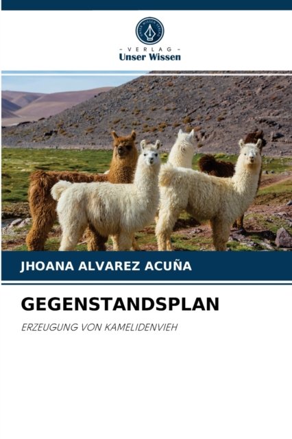 Cover for Jhoana Alvarez Acuna · Gegenstandsplan (Pocketbok) (2021)