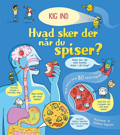 Cover for Emily Bone &amp; Stefano Tognetti · Kig ind: Kig ind: Hvad sker der når du spiser? (Inbunden Bok) [1:a utgåva] (2020)