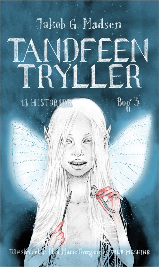 Cover for 13 HISTORIER: Tandfeen tryller (Bound Book) [1st edition] (2020)