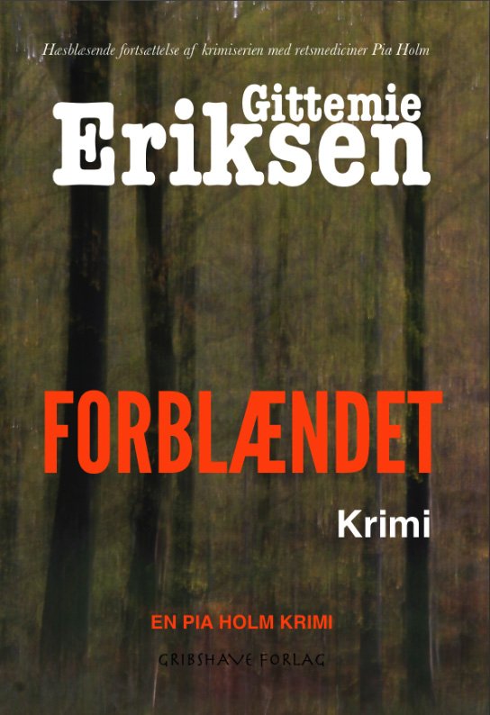 Cover for Gittemie Eriksen · Forblændet (Bog) (2013)