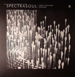 Light in the Dark Ft Terri Walker / Shac - Spectrasoul - Music - shogun audio - 9952381767456 - May 31, 2012