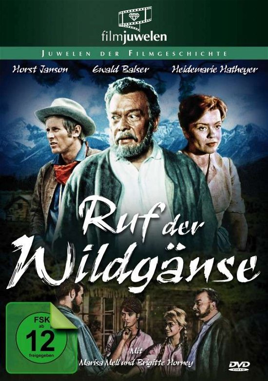 Cover for Hans Heinrich · Ruf Der Wildgänse-via Mala (DVD) (2013)