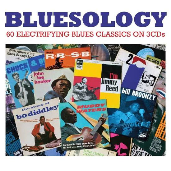 Bluesology - Various Artists - Musikk - NOT NOW - 5060432022457 - 15. september 2016