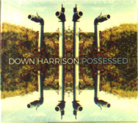 Possessed - Harrison Down - Muziek - Rootsy Music - 7350050361457 - 28 april 2017